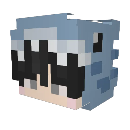 JBSkate3 Minecraft avatar head, 3D render