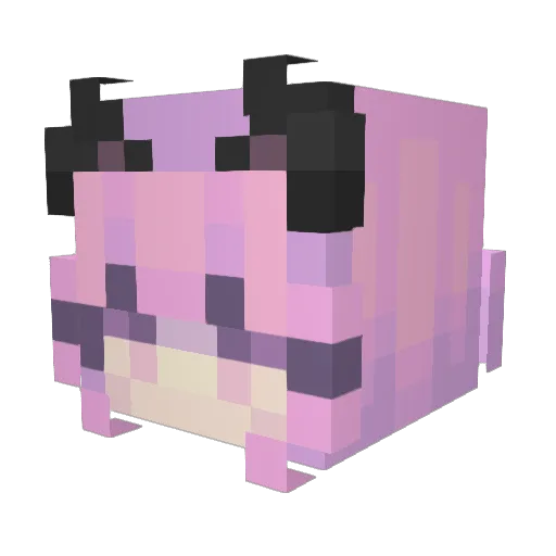 JBTCHECKDAS Minecraft avatar head, 3D render