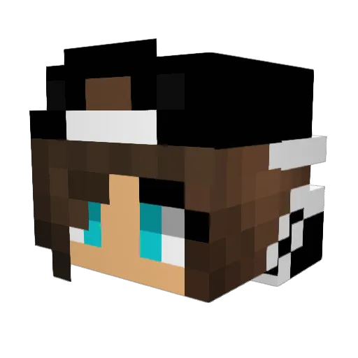JB_Star Minecraft avatar head, 3D render