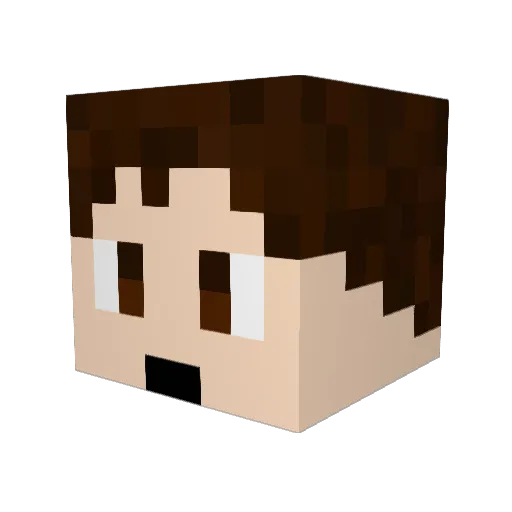 JBird919 Minecraft avatar head, 3D render