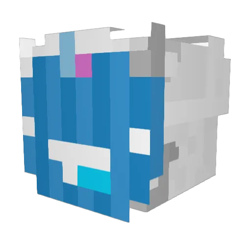JBoyZero Minecraft avatar head, 3D render