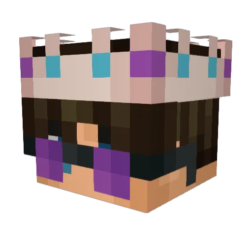 JBubz_ Minecraft avatar head, 3D render