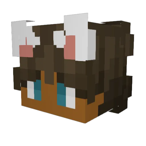 JCJisawinner Minecraft avatar head, 3D render