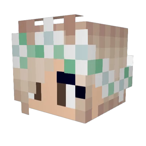 JCooper97 Minecraft avatar head, 3D render