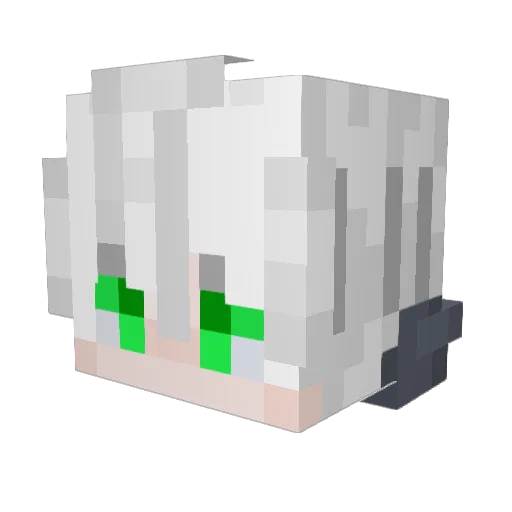 JCoopster1 Minecraft avatar head, 3D render