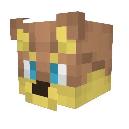 JCoyote Minecraft avatar head, 3D render