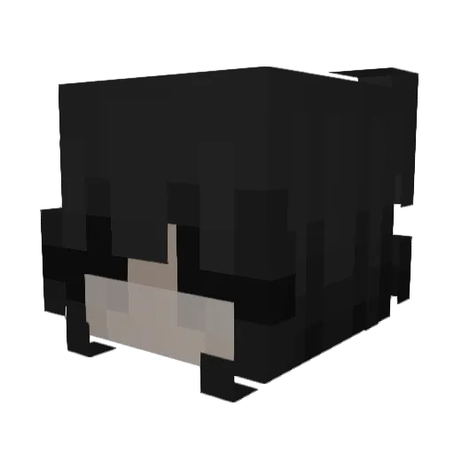 JCpirate11xE Minecraft avatar head, 3D render