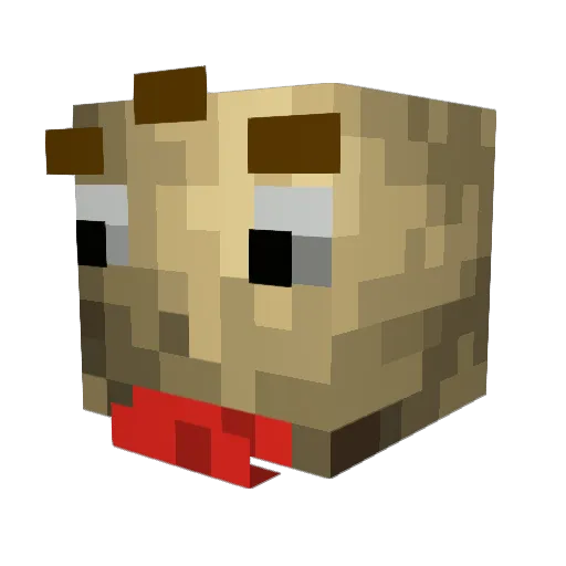 JCraft234 Minecraft avatar head, 3D render