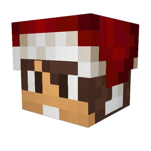 JD1099 Minecraft avatar head, 3D render