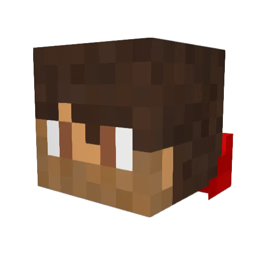 JD10 Minecraft avatar head, 3D render