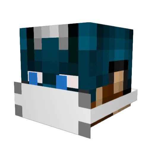 JD1215 Minecraft avatar head, 3D render
