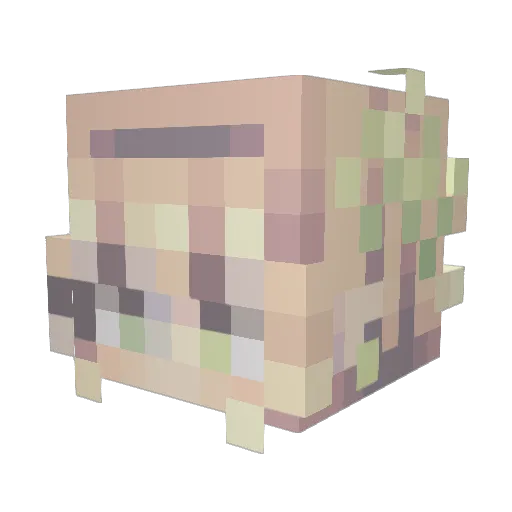 JDBB01 Minecraft avatar head, 3D render
