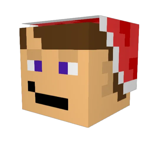JDBD Minecraft avatar head, 3D render