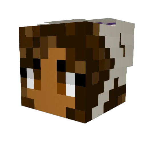 JDCasp Minecraft avatar head, 3D render