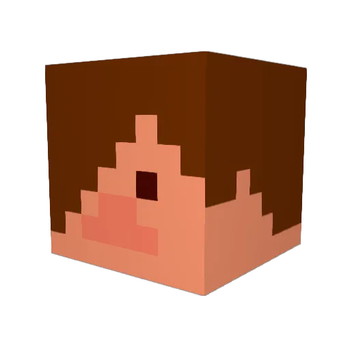 JDHB12 Minecraft avatar head, 3D render