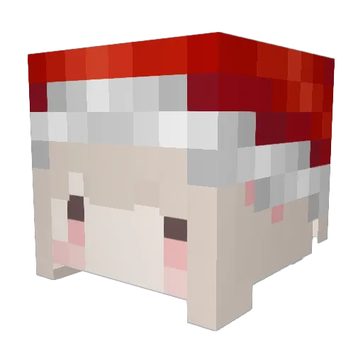 JDHOP Minecraft avatar head, 3D render