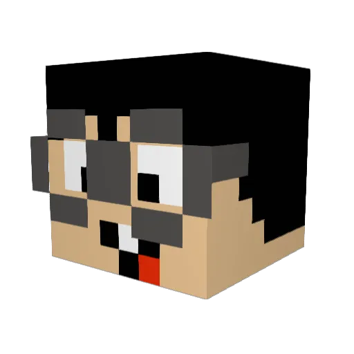 JDLC Minecraft avatar head, 3D render