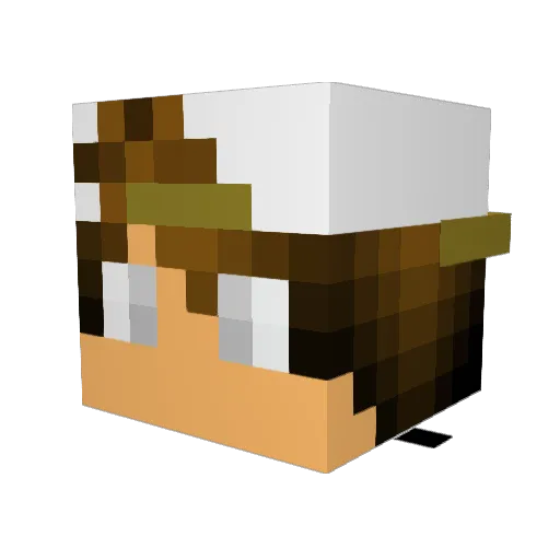 JDOG151 Minecraft avatar head, 3D render