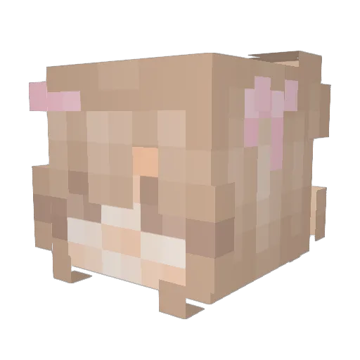 JDS7878 Minecraft avatar head, 3D render