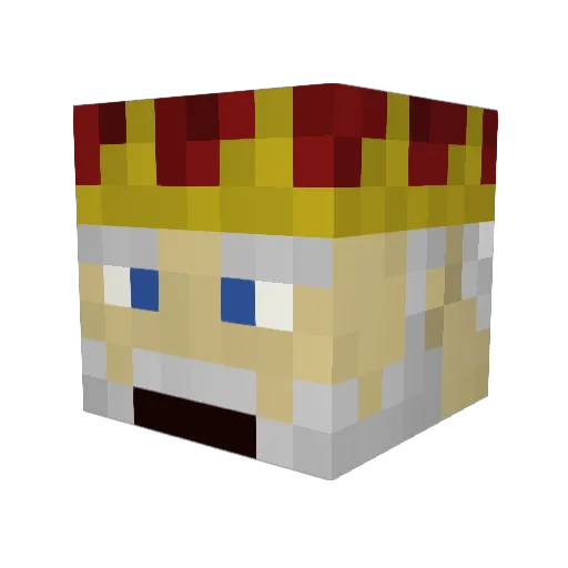 JDShinsk17 Minecraft avatar head, 3D render