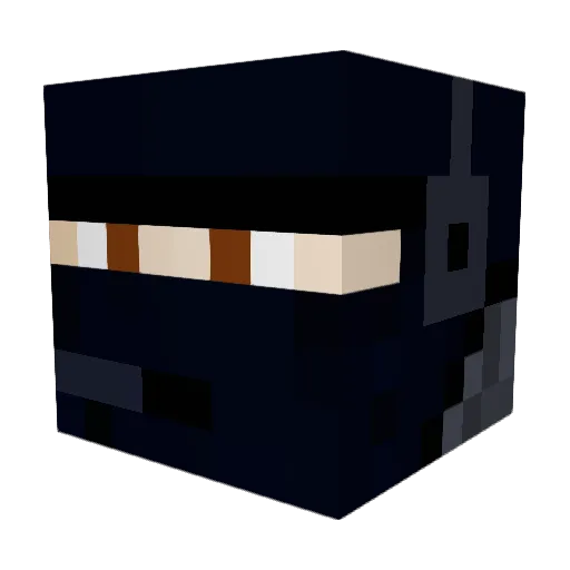 JDZ_Warpig Minecraft avatar head, 3D render