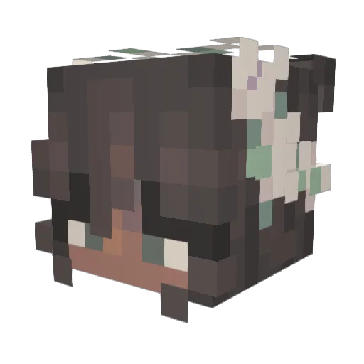 JD_Jordyn Minecraft avatar head, 3D render