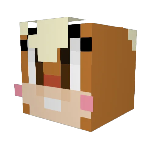 JDaddySwag Minecraft avatar head, 3D render