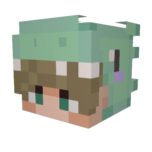 JDawg20107 Minecraft avatar head, 3D render