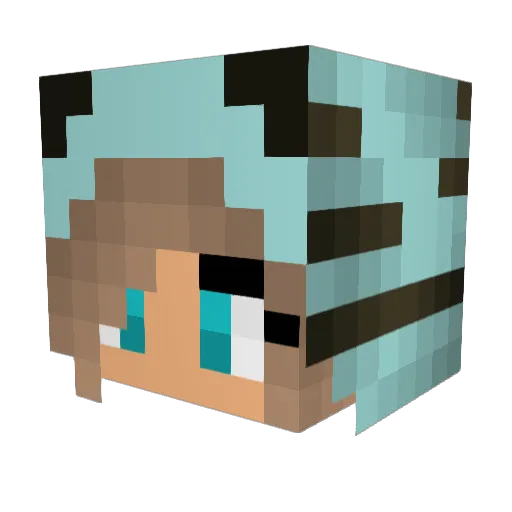 JDgamer26 Minecraft avatar head, 3D render