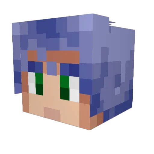 JDong Minecraft avatar head, 3D render