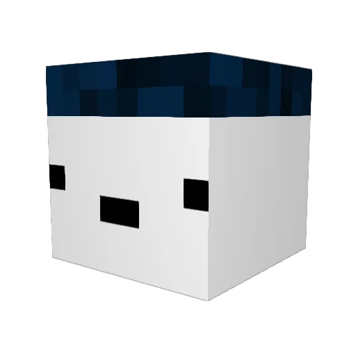 JDragon98 Minecraft avatar head, 3D render