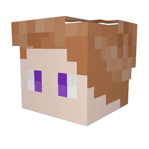 JEDI_00 Minecraft avatar head, 3D render