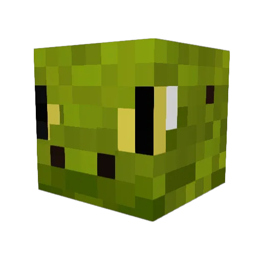 JEEF220 Minecraft avatar head, 3D render