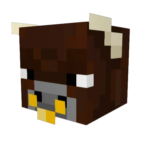 JEFRAN Minecraft avatar head, 3D render