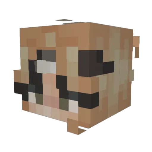 JELLYF1SHES Minecraft avatar head, 3D render