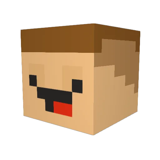 JENECNAGITREKT Minecraft avatar head, 3D render