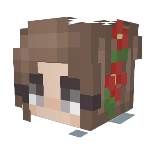 JENSDIVISION Minecraft avatar head, 3D render