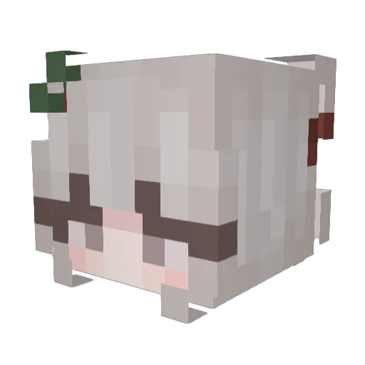 JEONGGGGGGG Minecraft avatar head, 3D render