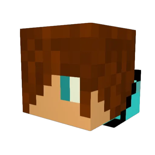 JET0711 Minecraft avatar head, 3D render