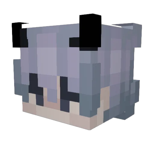 JETAME Minecraft avatar head, 3D render