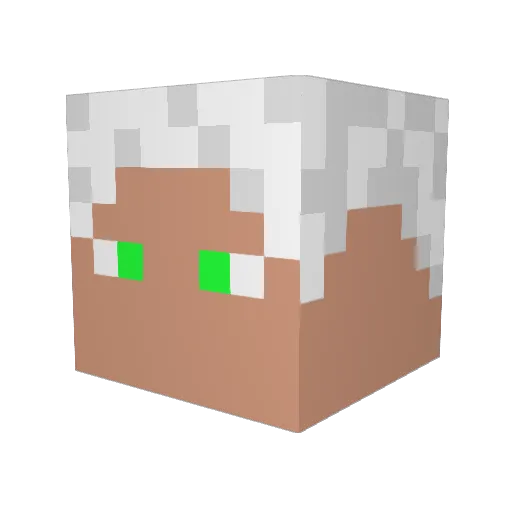 JFWHCTW Minecraft avatar head, 3D render