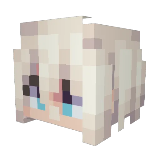 JFXavier Minecraft avatar head, 3D render