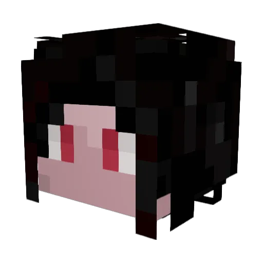 JF_FamilyPlan Minecraft avatar head, 3D render