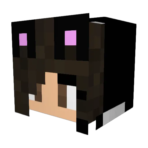 JFlo276 Minecraft avatar head, 3D render