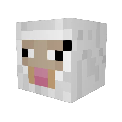 JFree08 Minecraft avatar head, 3D render