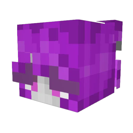 JG_Studios_ Minecraft avatar head, 3D render