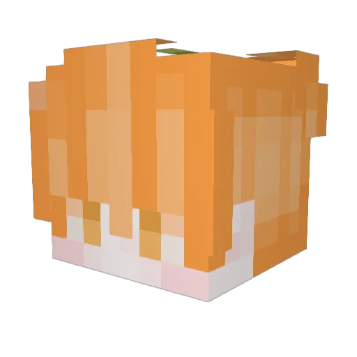 JGamGYUL Minecraft avatar head, 3D render