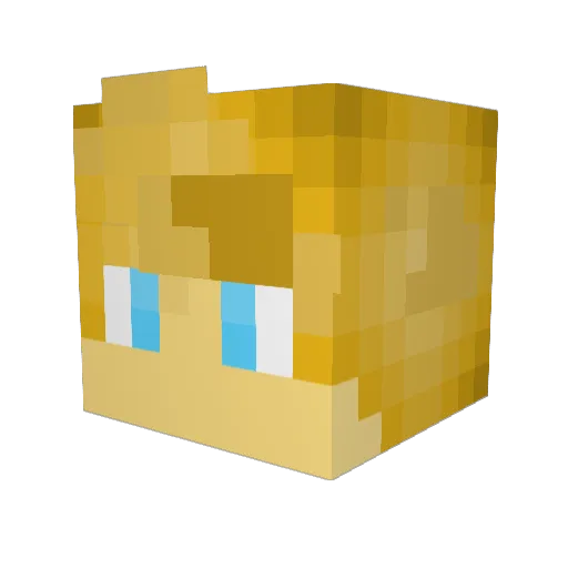 JH220 Minecraft avatar head, 3D render