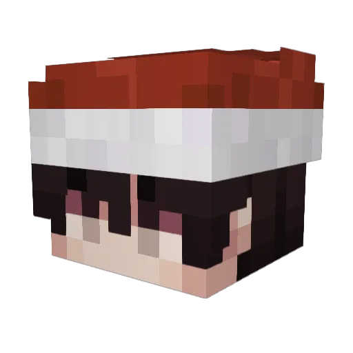 JHJH_15 Minecraft avatar head, 3D render
