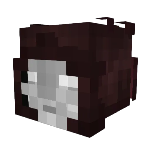 JHQuant Minecraft avatar head, 3D render